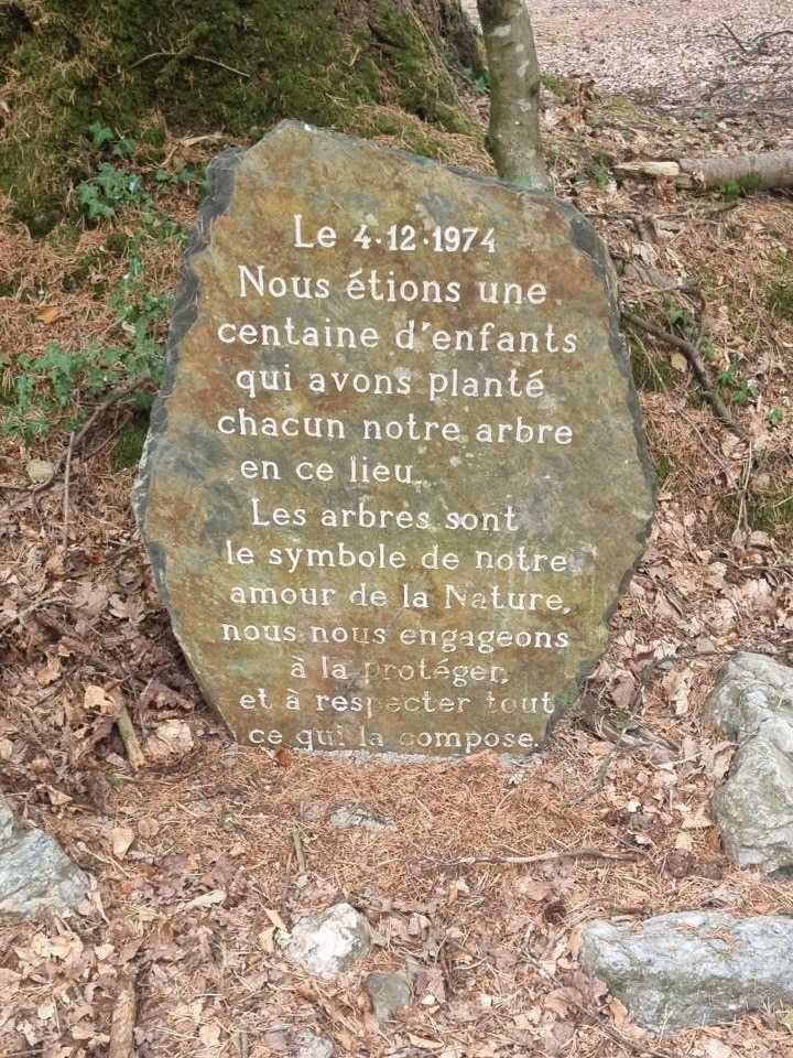 Photo cachette Pal Caillou Forêt de Loudéac Bretagne 2