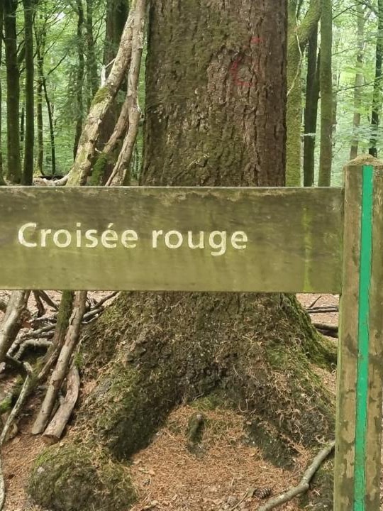 Photo cachette Pal Caillou Forêt de Loudéac Bretagne 3